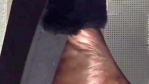 Sexy pregnant ebony soles in the library . 1